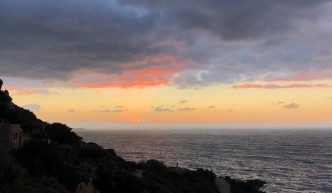 IMG 7257