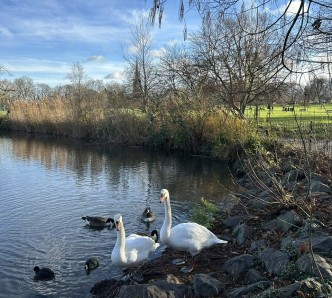 PHOTO 2024 12 16 12 36 19