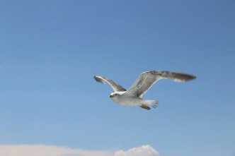 amit daruka 7qd6U8fGHCM unsplash