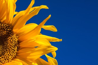 johan nilsson QcZrEkxGTro unsplash