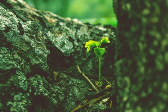 osama khan 1YLsaUeY 5A unsplash2