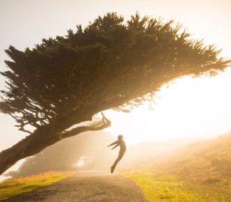 stephen leonardi wPlzrculha8 unsplash2